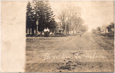 Early Street View in Castalia Iowa IA Chickens on Dirt Road 1908 RPPC Postcard picture