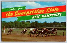 Postcard Greetings from the Sweepstakes State New Hampshire   D 27 picture