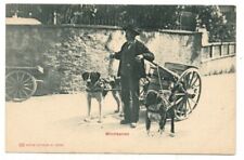 c1905 UDB PC: Swiss Milchkarren (Milk Cart) with Man & Pulled by Two Dogs picture