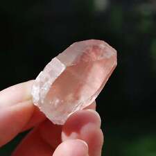 1.3in Pink Lemurian Seed Quartz Crystal Starbrary, Serra do Cabral, Brazil c11 picture