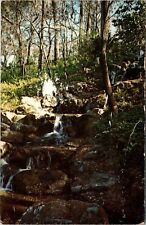Dunnellon, FL Florida Rainbow Springs Waterfall Vintage Postcard G318 picture