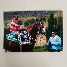 Named Quarter Horse Stallion JESS GOOD CANDY Postcard 3.5 x 5 picture