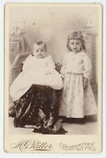 Antique c1880s Cabinet Card Adorable Children, Siblings Ritter Quakertown, PA picture