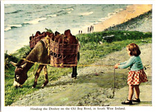 Minding the donkey Old Bog Rd South west Ireland postcard a42 picture
