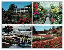 c1970s Flowers View Patricia Murphy's Candlelight Restaurant Yonkers NY Postcard picture