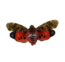 Ruby Red Spotted Lantern Fly (Penthicodes atomaria) Entomology Specimen picture