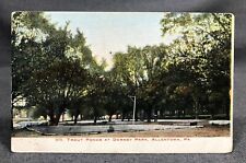 1905 Trout Ponds Dorney Park Allentown PA Antique Vintage Postcard PC View UDB picture