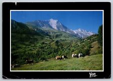 Postcard France Pyrenees Horses Mountains c1993  3G picture