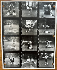 VTG 1950s 8x10 B&W PHOTO CONTACT SHEET BRUNETTES BOBBY SOCKS POSING PARK 503 picture