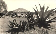 MEXICO SUN PYRAMID SAN JUAN TEOTIHUACAN real photo postcard rppc ancient picture