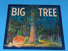 Collectible Advertising Orange Crate Label Big Tree Lemon Cove Tulare County Ca. picture