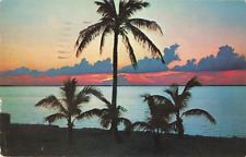 Fort Lauderdale Florida, Tropical Sunset, Vintage Postcard picture