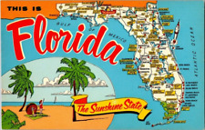 FL-Florida, General Large Letter Greeting, State Map, Antique Vintage Postcard picture
