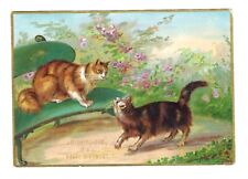 c1890 Victorian Birthday Trade Card Cats, Flowers, Embossed picture