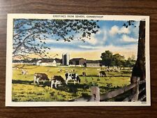 Greetings from Somers, Connecticut Postcard ~ Cattle, Cow, Farm ~ Unposted picture