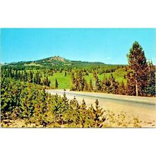 Vintage Postcard Colorado Rabbit Ears Pass near Kremmling and Steamboat Springs picture