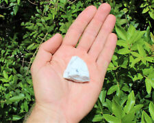 White Howlite Rough Natural Stones: Choose How Many (Raw White Howlite Crystals) picture