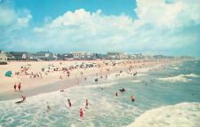 Ocean City MD Maryland, Beach & Boardwalk, Sunbathers, Swimmers Vintage Postcard picture