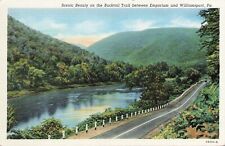 Bucktail Trail Scenic Beauty Emporium Williamsport Pennsylvania Postcard picture