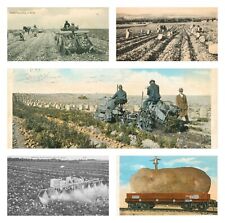 Postcards Antique 1930-42 LOT 5 Cards POTATO GROWING & HARVESTING Crops in MAINE picture