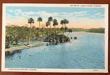 On The St. Johns River Near Sanford Florida Vintage Postcard picture