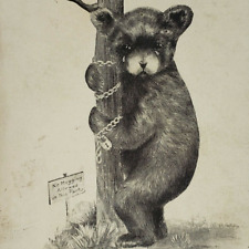 Yellowstone Park Bear Chained Tree Postcard c1939 No Hugging Drawing Art WY B335 picture