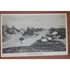 Vintage Postcard Schiller Park Illinois 1941 White Storks picture