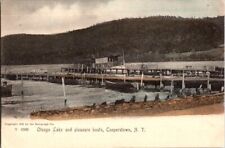 Vintage Postcard Pleasure Boats Otsego Lake Cooperstown NY New York 1905   D-313 picture
