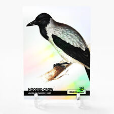 HOODED CROW Birds of Europe, 1837 Art Card 2023 GleeBeeCo Holo Creatures #HDBR picture