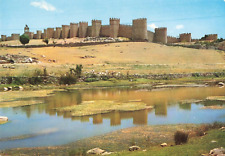 Avila Spain, The Historic Walls of Avila, Vintage Postcard picture