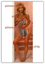 SEXY 13x19 Heather Thomas towel full length body mini poster door poster picture