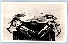 Petersburg Alaska AK Postcard RPPC Photo Famous Crab Caught Johnston c1940's picture