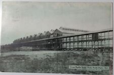 1903 Union Pacific Iceing Icing Plant, North Platte NE UP RR Newton PC Railroad picture