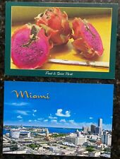 Postcards of Miami city and Homestead Fruit & Spice Park, FL, set of 2, unposted picture