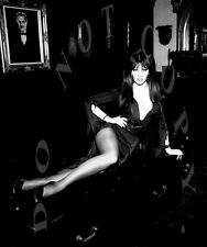 Smokin Hot Elvira Mistress of the Dark Reprinted 8x10 Photograph # 1 picture
