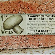 1915 Hiram Barton - Amazing Profits in Mushrooms - Original Antique Vtg PRINT AD picture