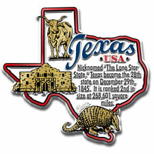Texas Information State Magnet by Classic Magnets, 3.1