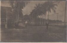Panama 1906 Palms Waterfront RPPC Photo Postcard to Clyde Ohio picture