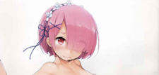 【Brand New】Re: zero Doujinshi Natsukisugi Full Color Art Book A4 /16P from Japan picture