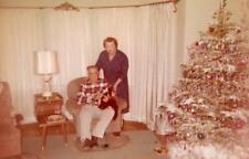 QM188 Vtg Photo KODACOLOR CHRISTMAS w/ BOOTS THE KITTY CAT, Oakland CA c 1959 picture