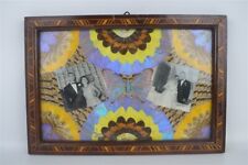 Vintage Hand Crafted Wood & Butterfly Photograph Frame Sao Paulo Brazil Souvenir picture