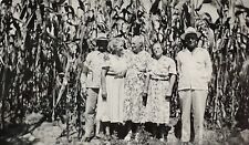 Happy Group In Field Elderly Ladies Picture Vintage Photo Picture picture