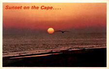 Postcard, sunset, Cape Cod, Massachusetts, South Cape Distribution, Postcard picture