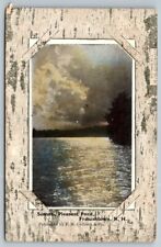 Birch Border  Pleasant Pond  Francestown New Hampshire  Postcard  1910 picture