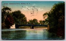 Bridge Cazenovia Park Buffalo New York Posted 1914 Postcard picture
