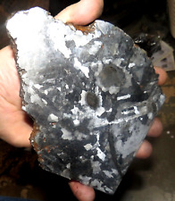 BEAUTIFUL 694 GM CAMPO DEL CIELO ETCHED METEORITE SLAB picture