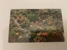 1954 Waterfall and Rock Garden Knott's Berry Farm Ghost Town California Postcard picture