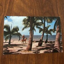 Vintage Posted 1957 Postcard Tropical Naples Florida Beach Scene Coconut Palms picture