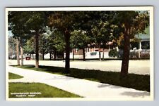 Alpena MI-Michigan, Washington Avenue Residences, Antique, Vintage Postcard picture