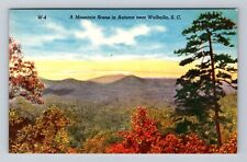 Walhalla SC-South Carolina, A Mountain Scene in Autumn Vintage Postcard picture